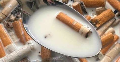 durduk yere parfüm kokusu almak